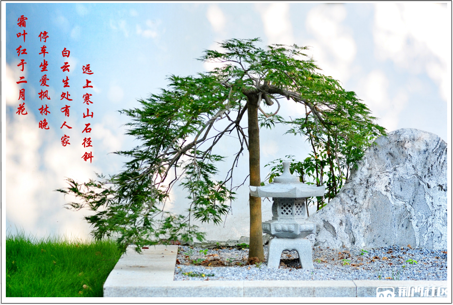 QQͼƬ20191001231337.png