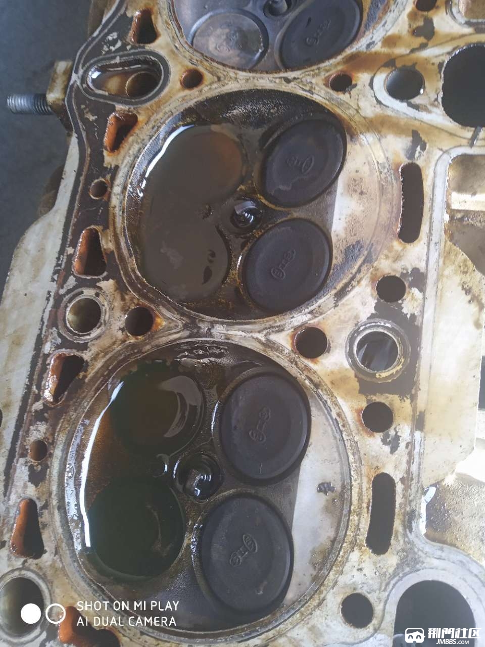 20191225_119474_1577257596678.jpg