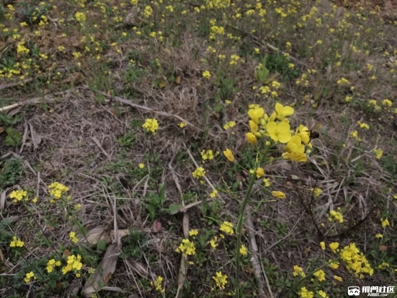 20200224_1803458_1582530299826.jpg