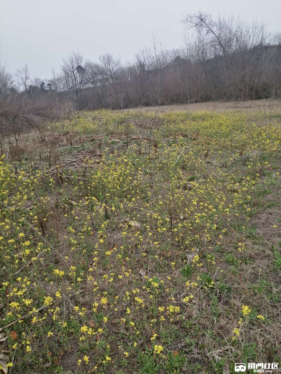 20200224_1803458_1582530301656.jpg