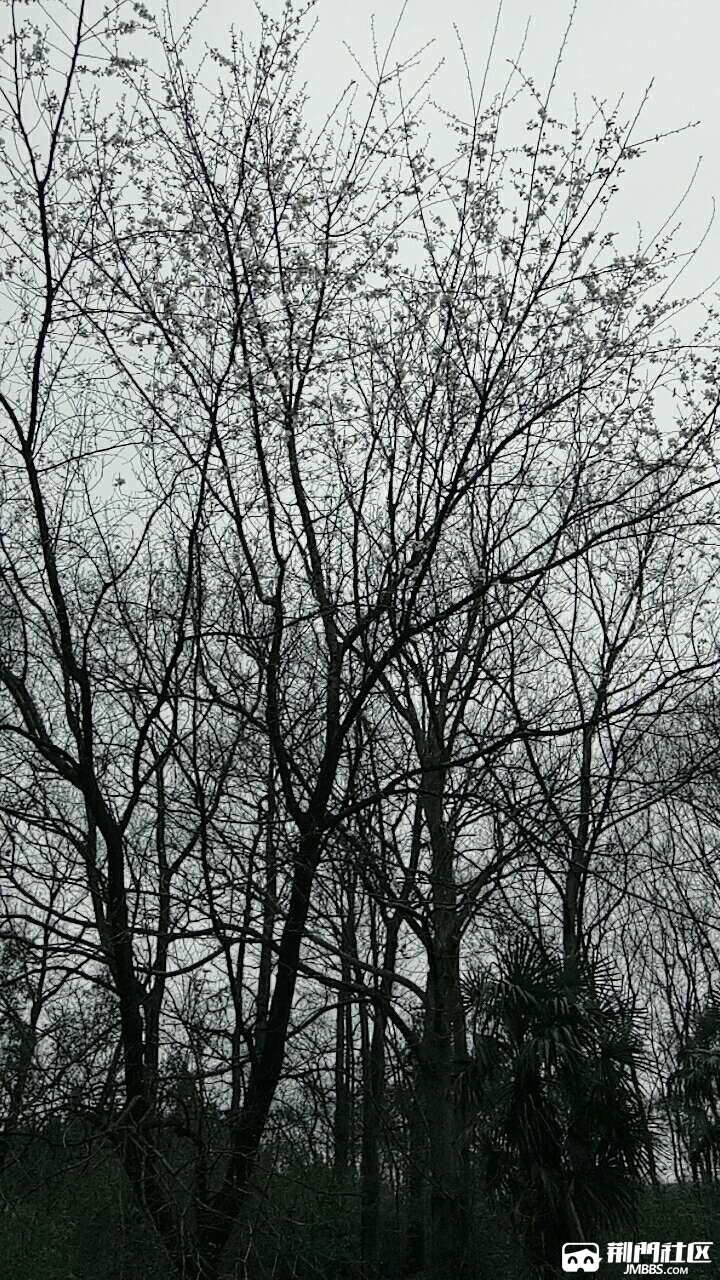 20200303_3478923_1583222264916.jpg