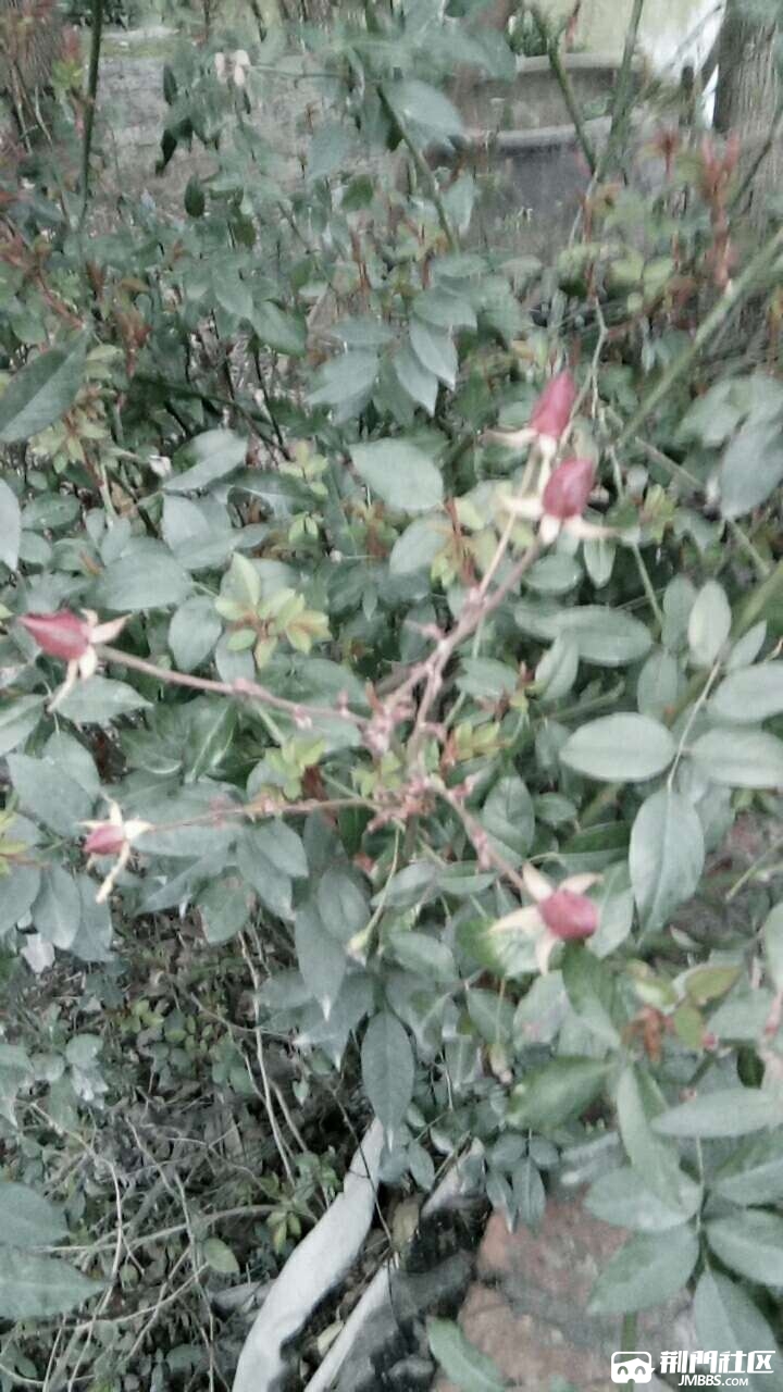 20200303_3478923_1583230556597.jpg