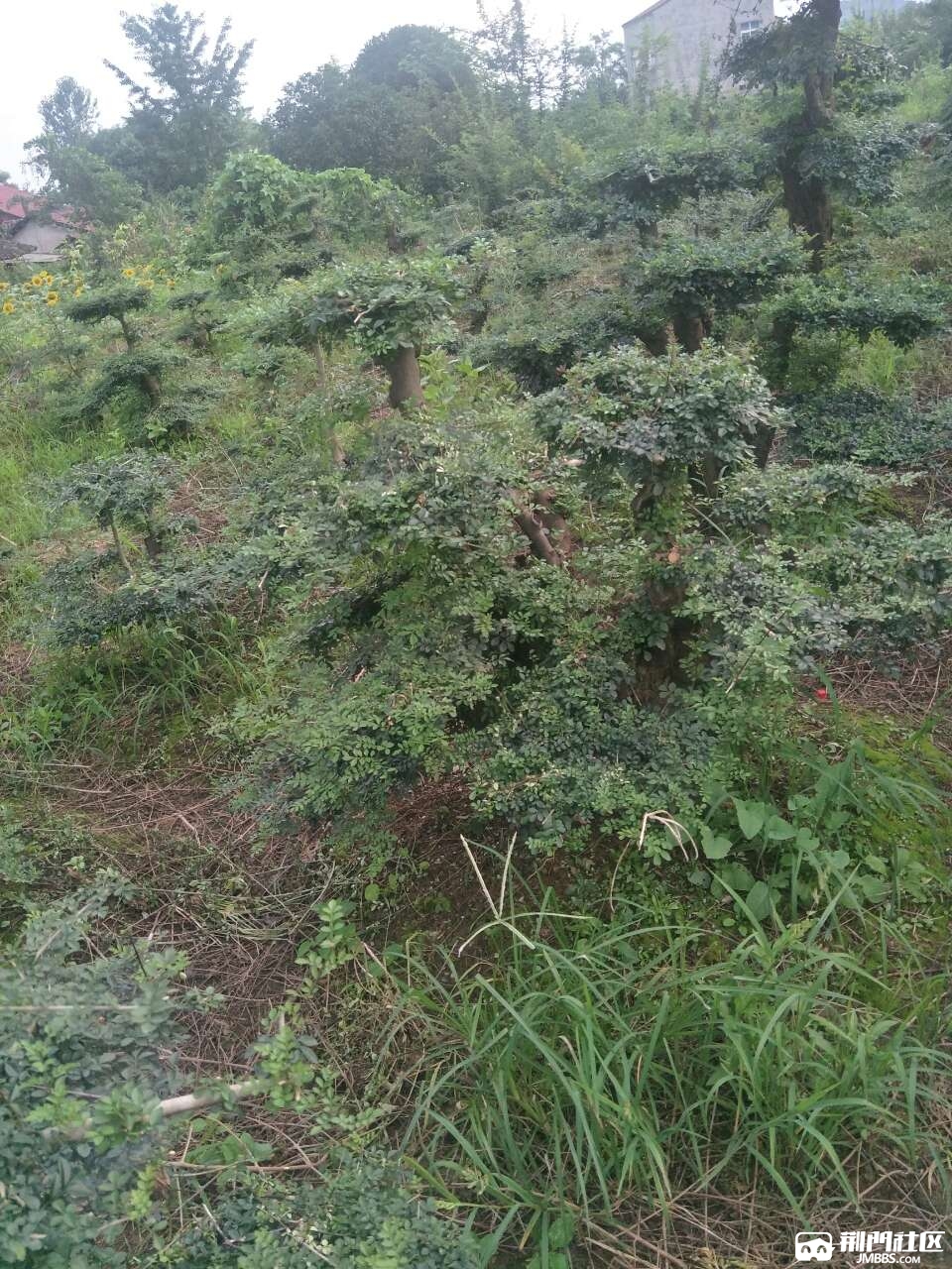 20200822_3548375_1598063686722.jpg