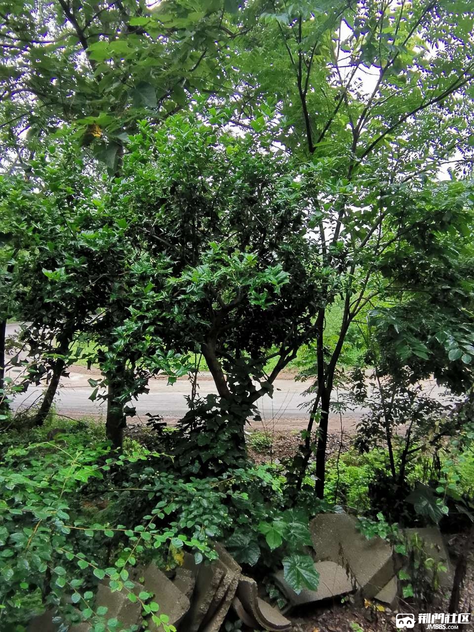 20200909_2975862_1599634611569.jpg
