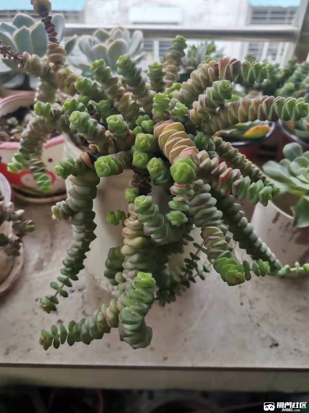 ΢��ͼƬ_20210518100654.jpg
