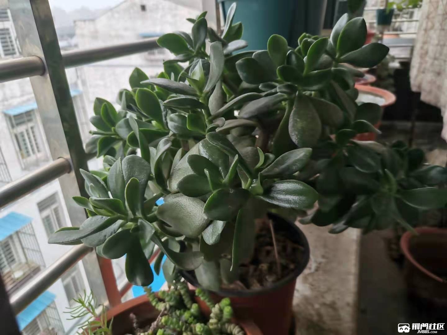 ΢��ͼƬ_20210518100704.jpg