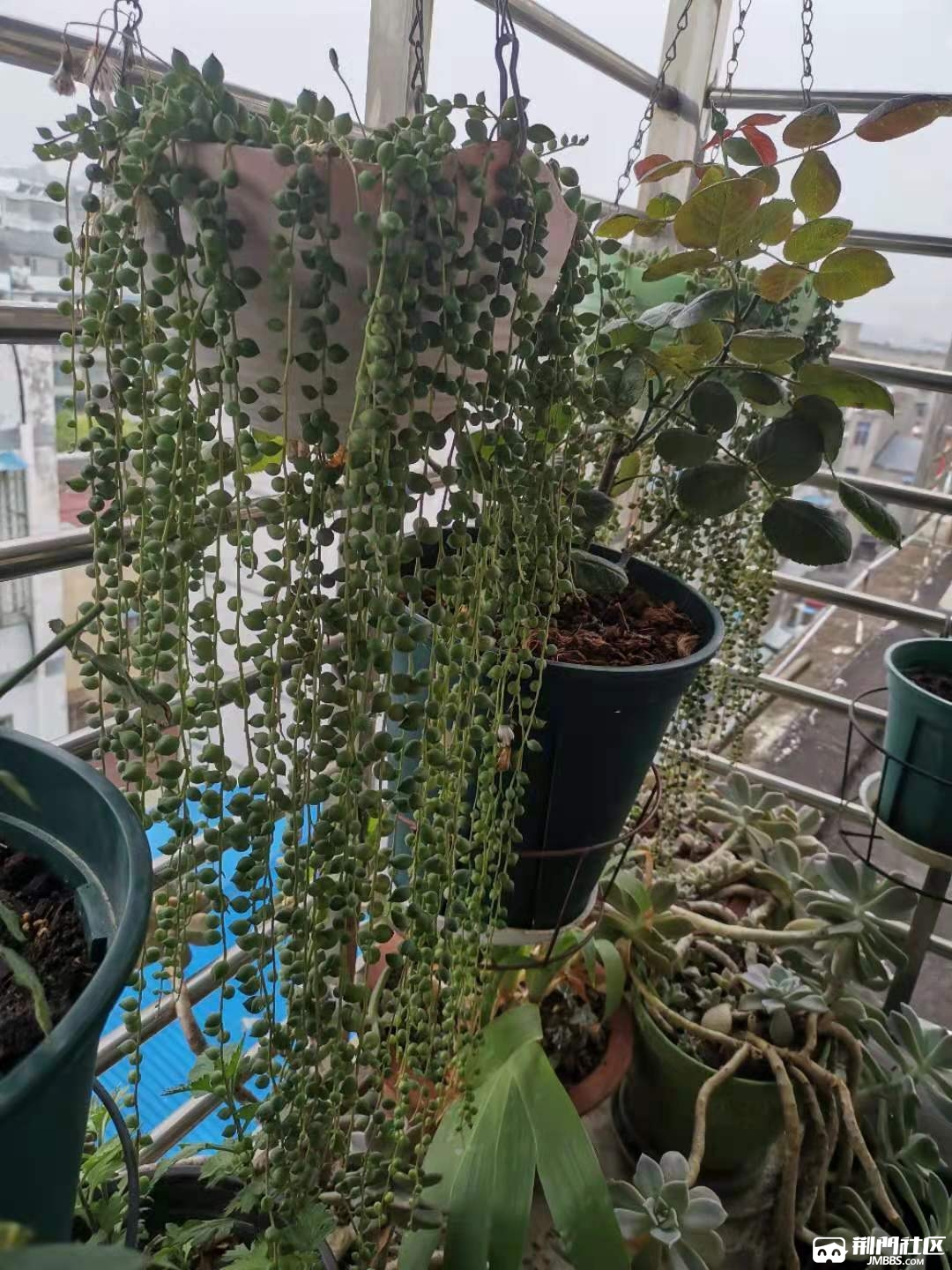 ΢��ͼƬ_20210518100727.jpg