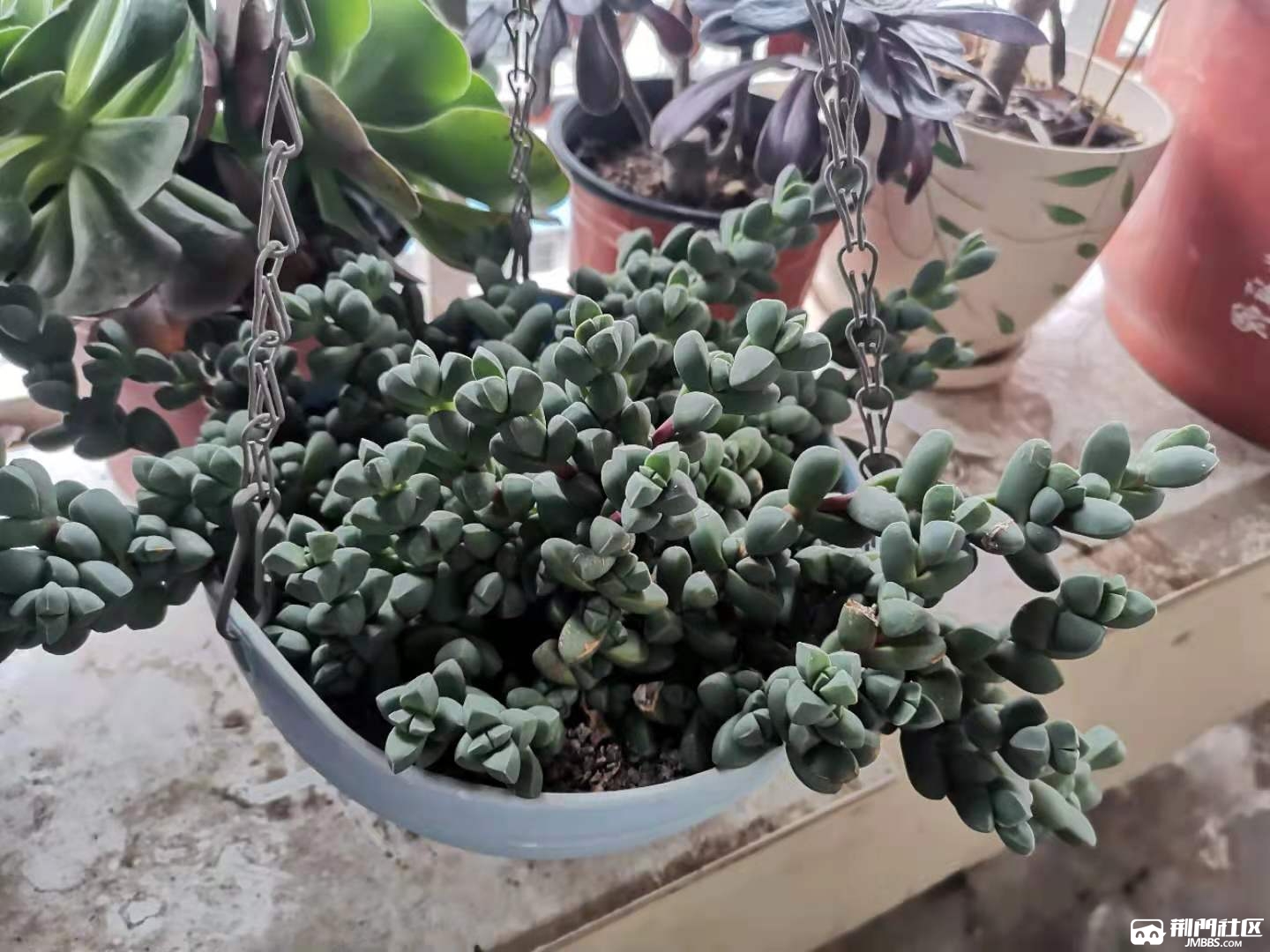 ΢��ͼƬ_20210518100732.jpg