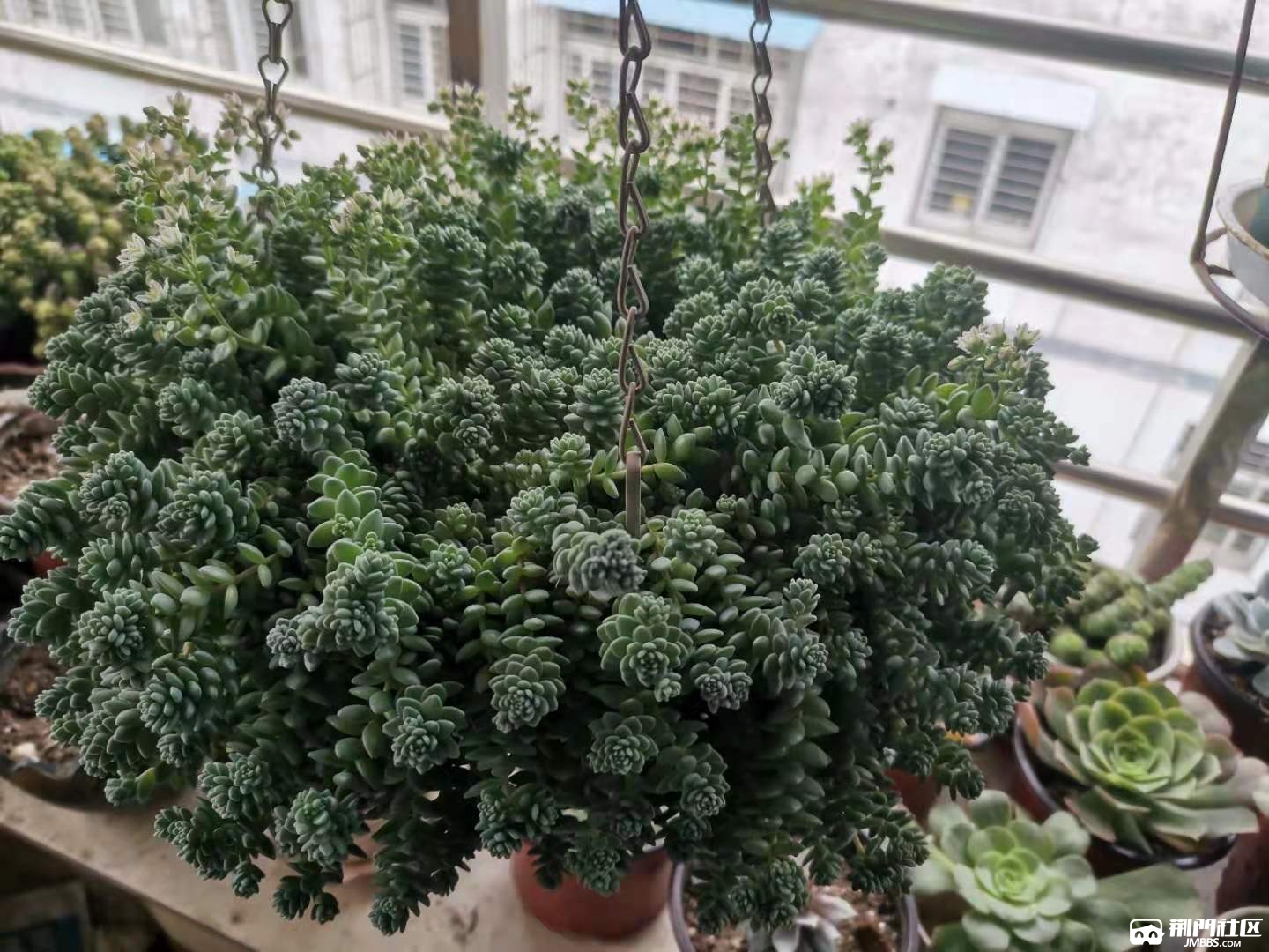 ΢��ͼƬ_20210518100742.jpg