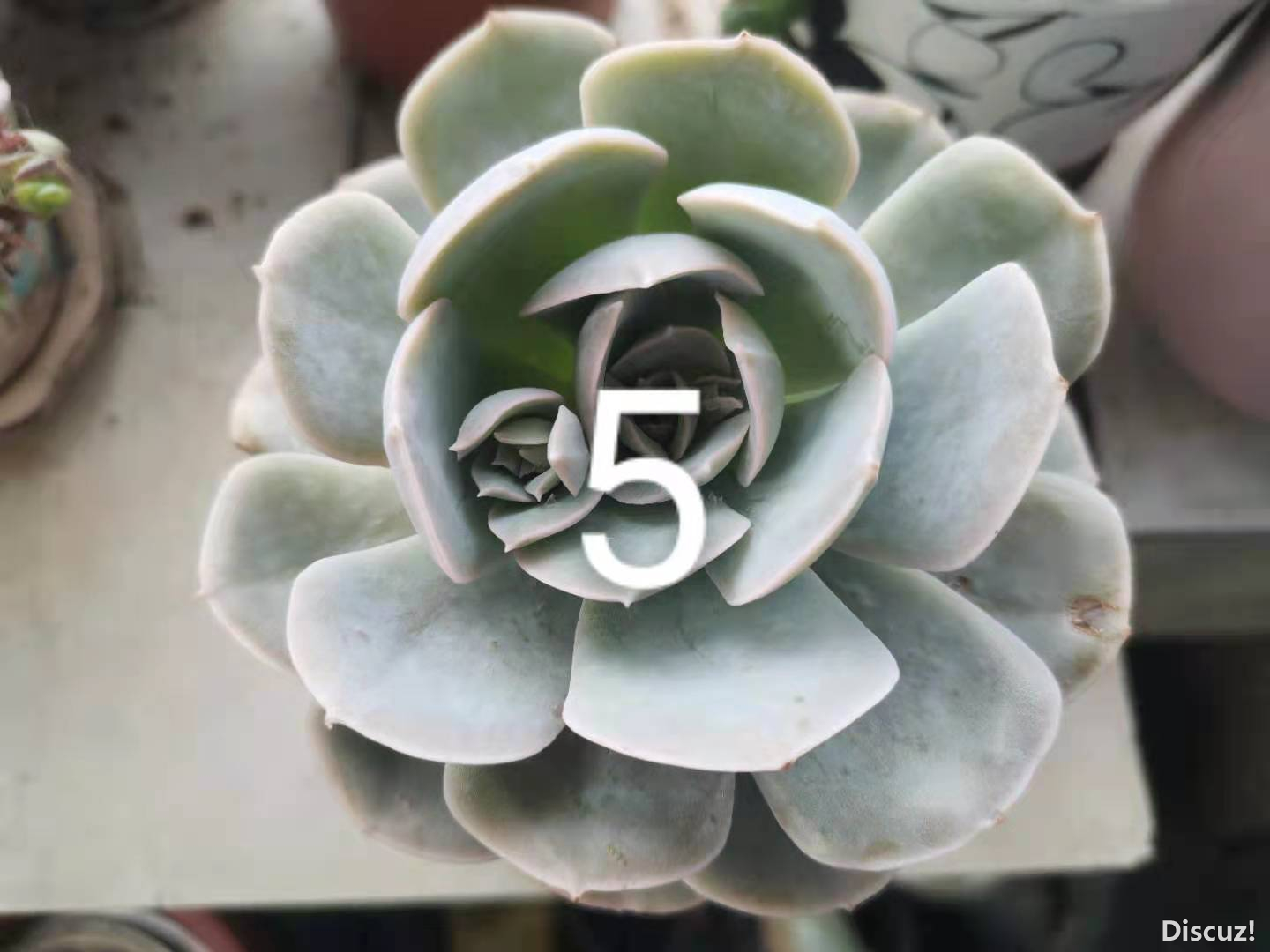 ΢��ͼƬ_20210517164727.jpg