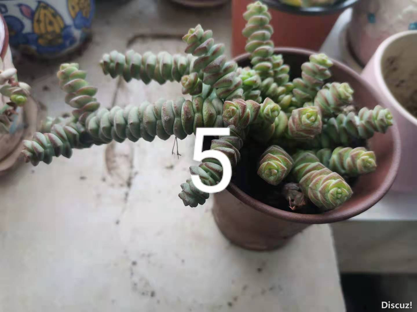 ΢��ͼƬ_20210517164655.jpg