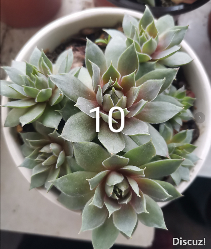 ΢��ͼƬ_20210519114129.png