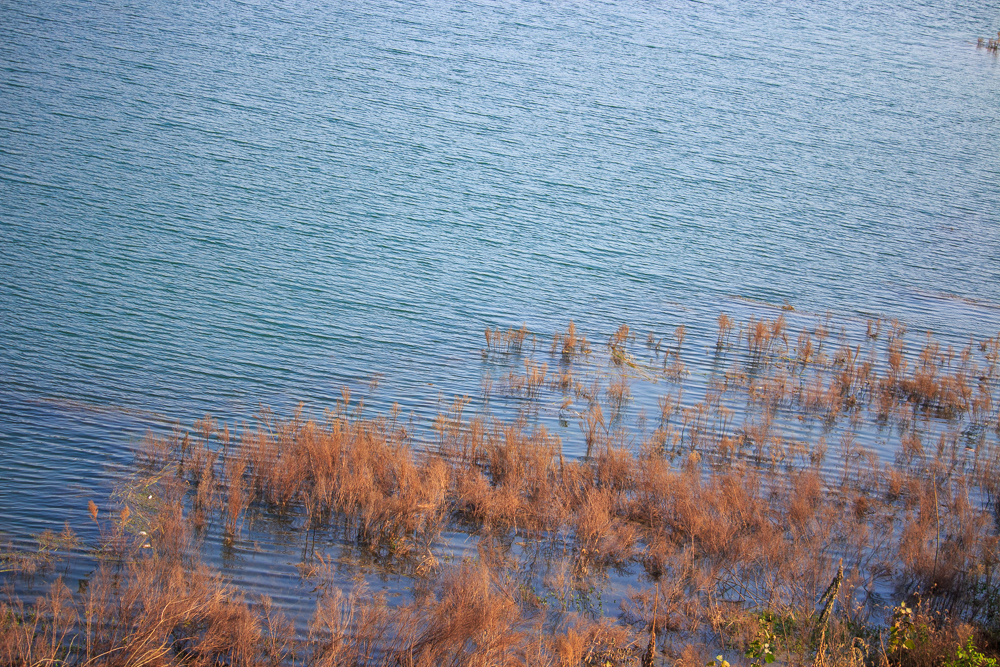 _MG_0502.jpg