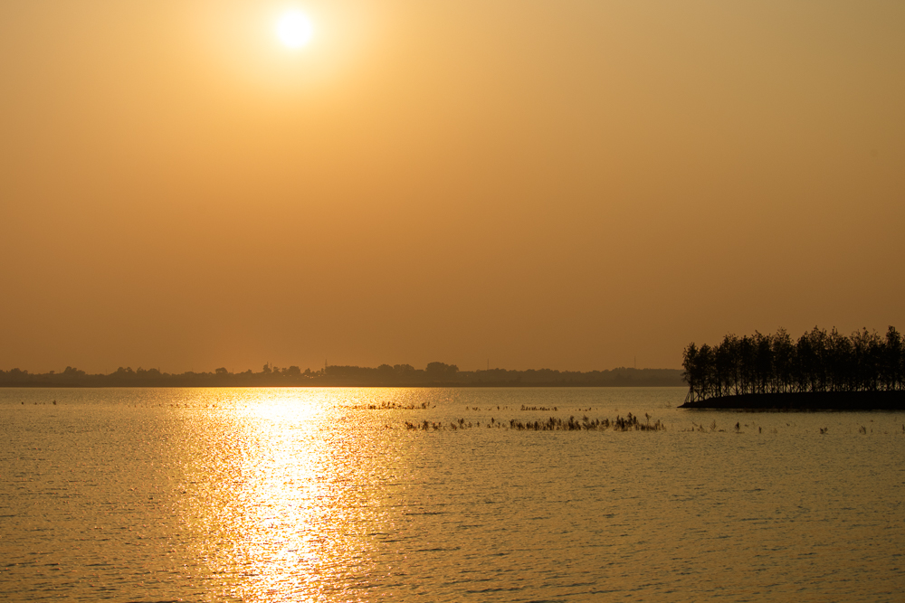 _MG_0558-HDR-�༭.jpg