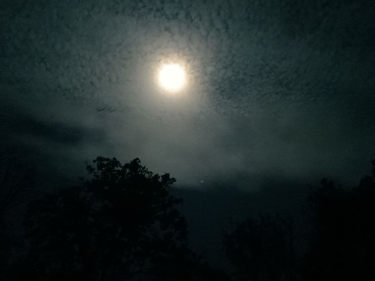 20231030022906front2_0_3005459_FkJKyMhRZIJhnawgEatTJt8msKyG.jpg