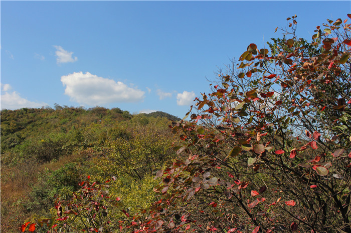 IMG_5966.jpg