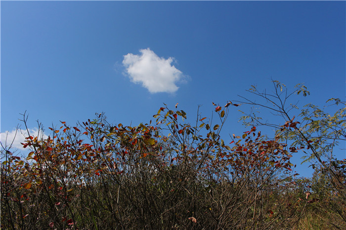 IMG_5970.jpg