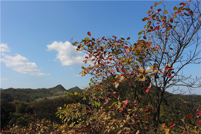 IMG_5972.jpg