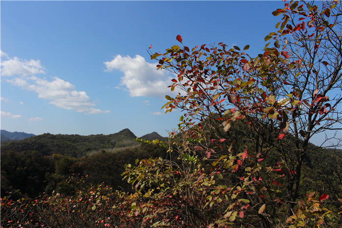 IMG_5974.jpg