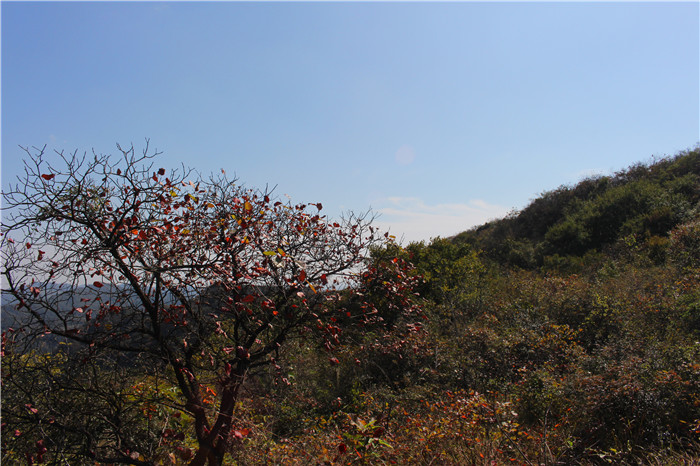 IMG_5977.jpg