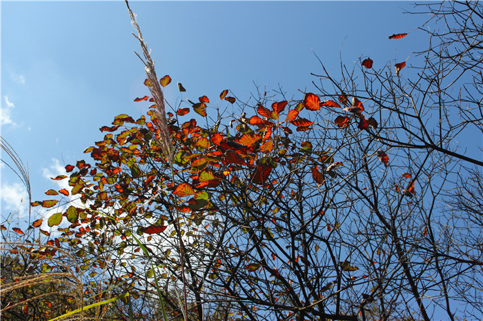 IMG_5982.jpg