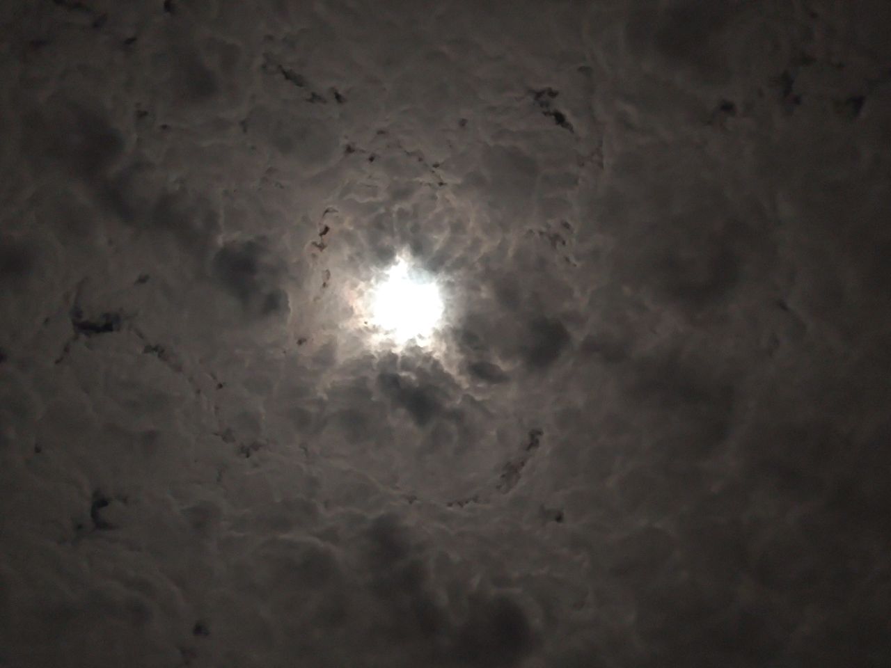 20231031085325front2_0_577688_Flrp0SpaTmTzH7LIwoYAIXRp-7Fi.jpg