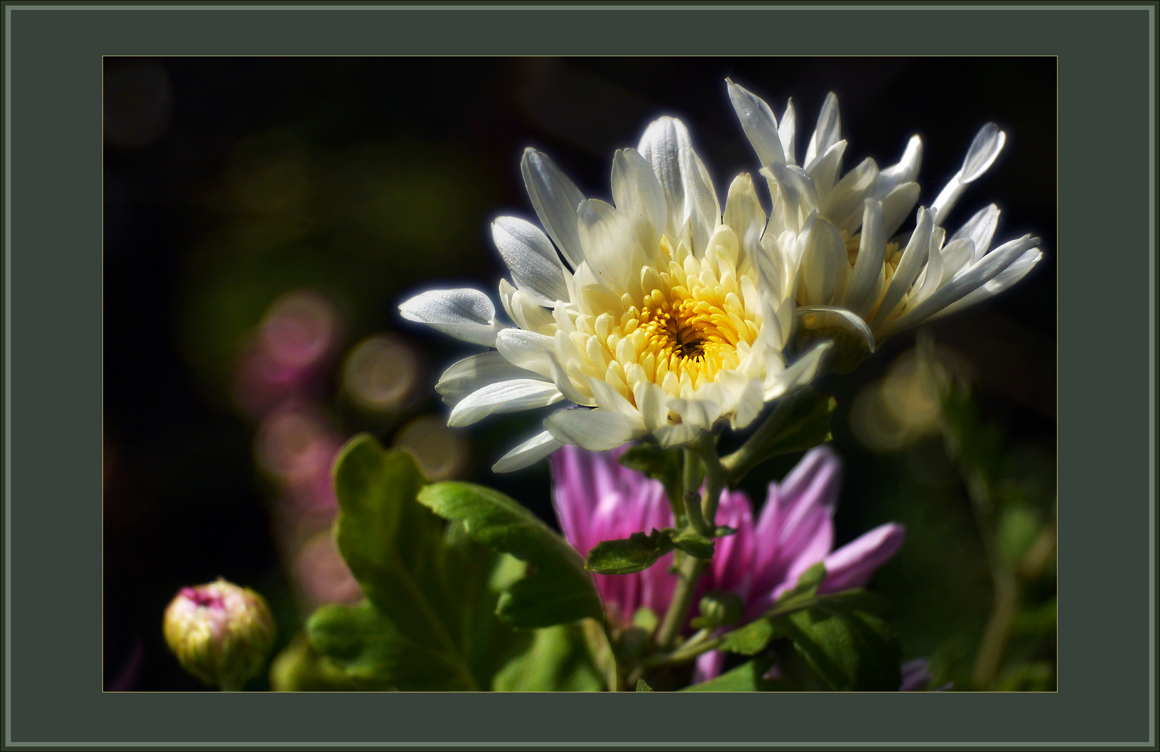DSC_2964.JPG