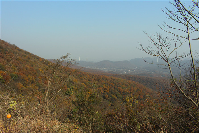IMG_6354.jpg