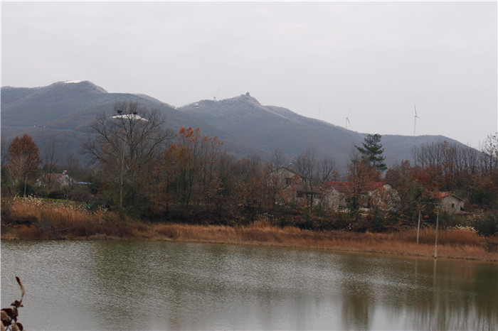 IMG_6459.jpg