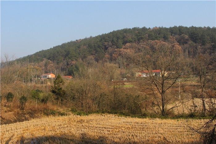 IMG_6514.jpg