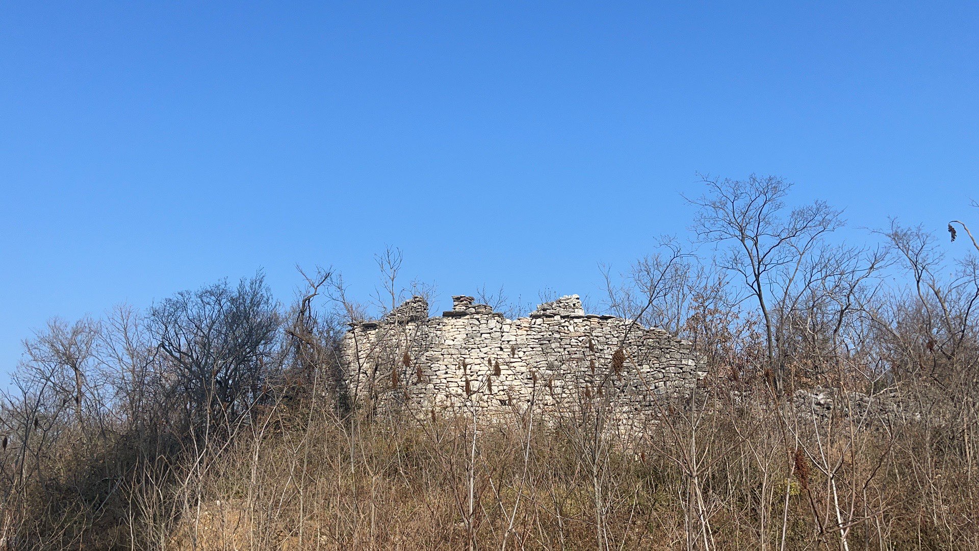 20240111112019front1_0_3731856_FpkIVSVD873Pro70kAG9JKXcMMie.jpg