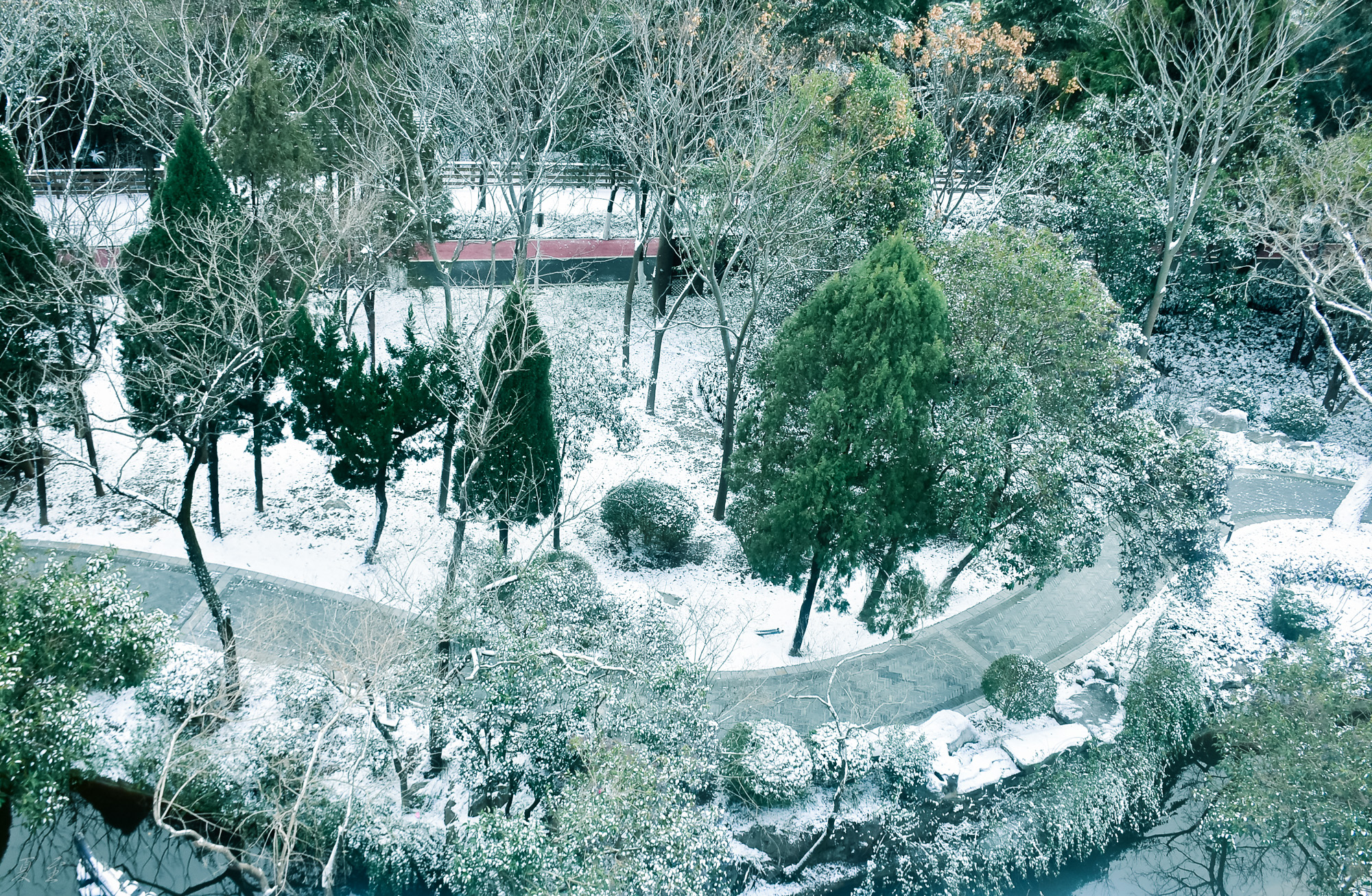 DSC_8668.jpg