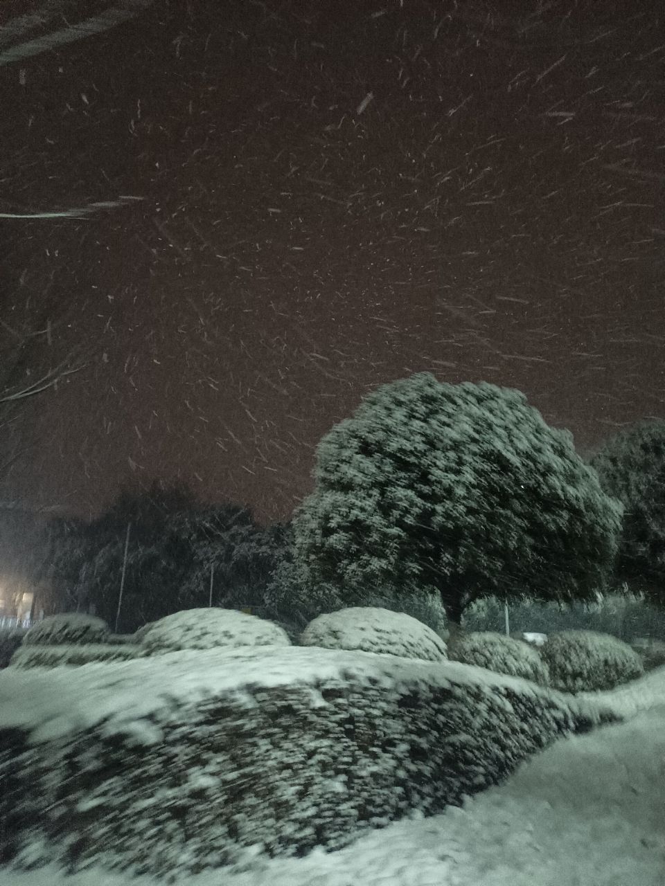 20240123181324front2_0_3696030_Fo7bboBlpWU-Mb0NiaC1Zb2RJFey.jpg