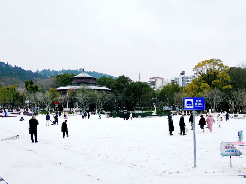 P1320862.jpg