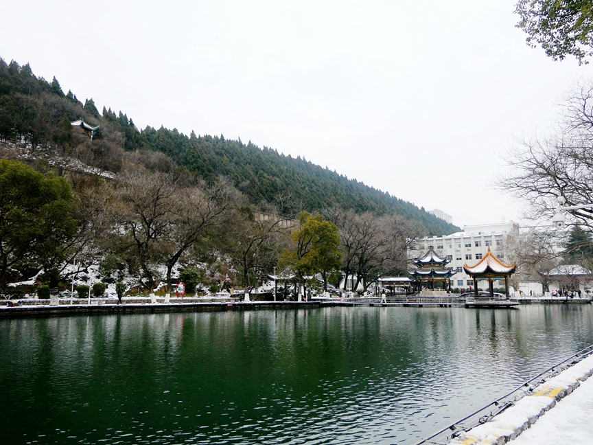 P1320921.jpg