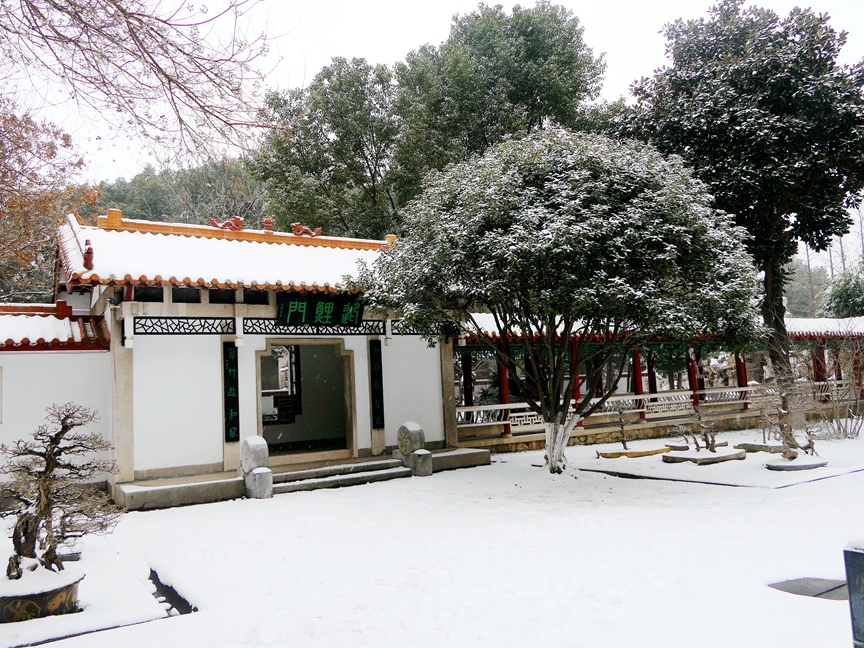 P1320937.jpg