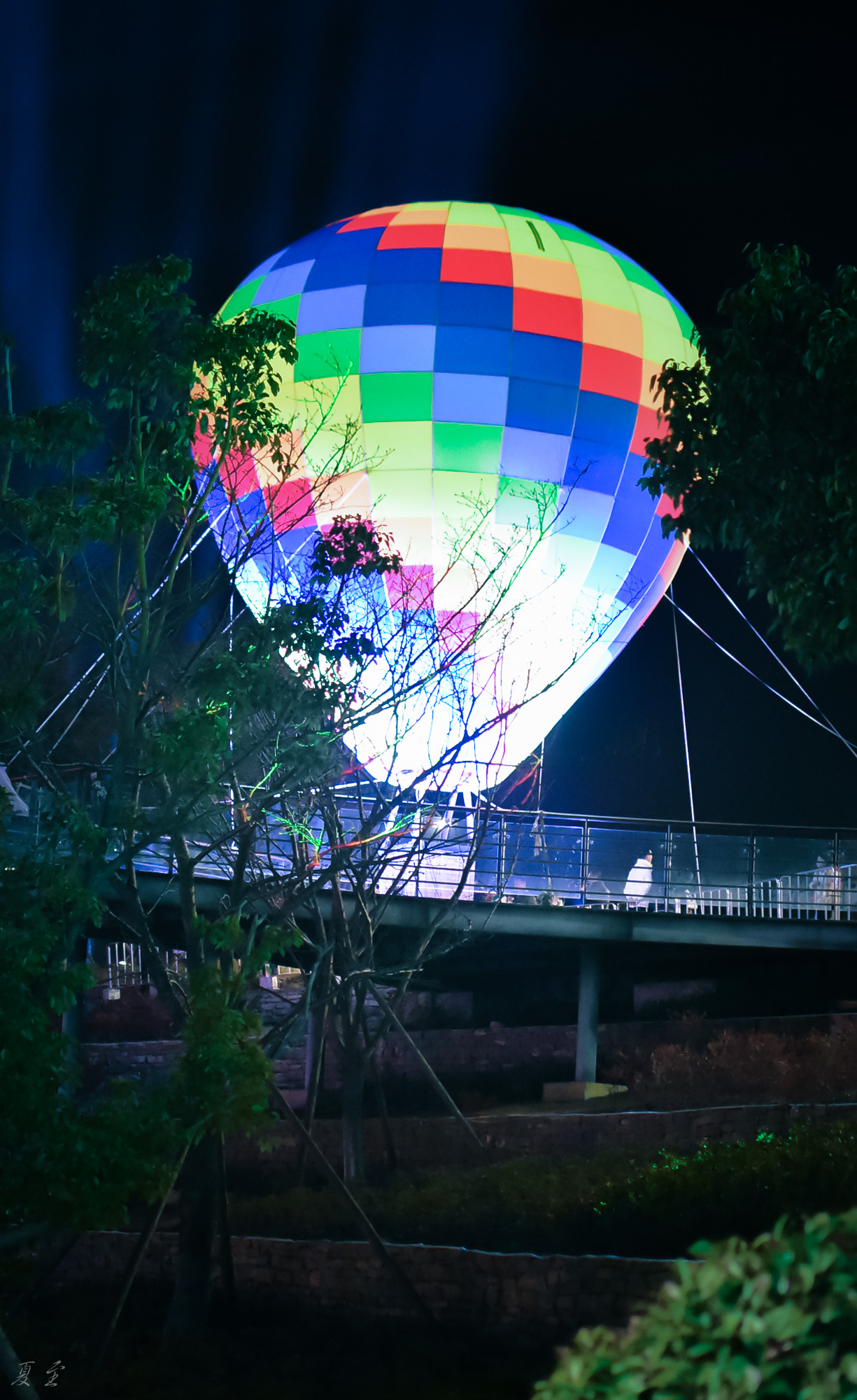 DSC_8850.jpg