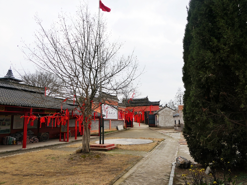 P1330412.jpg