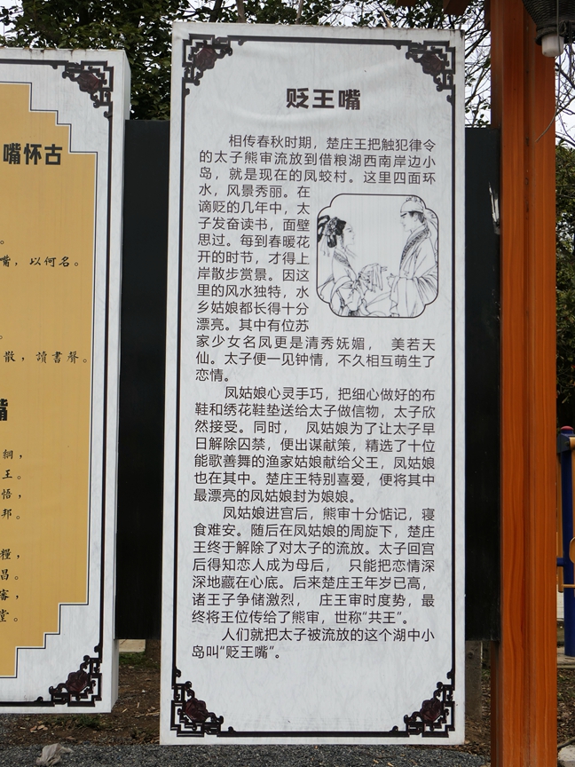 P1330444.jpg