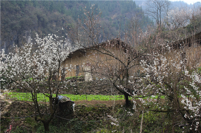IMG_7397.jpg