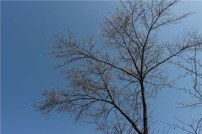 IMG_7436.jpg