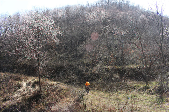 IMG_7453.jpg