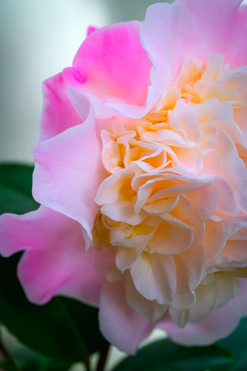 _DSC4894-����ǿ-����.jpg