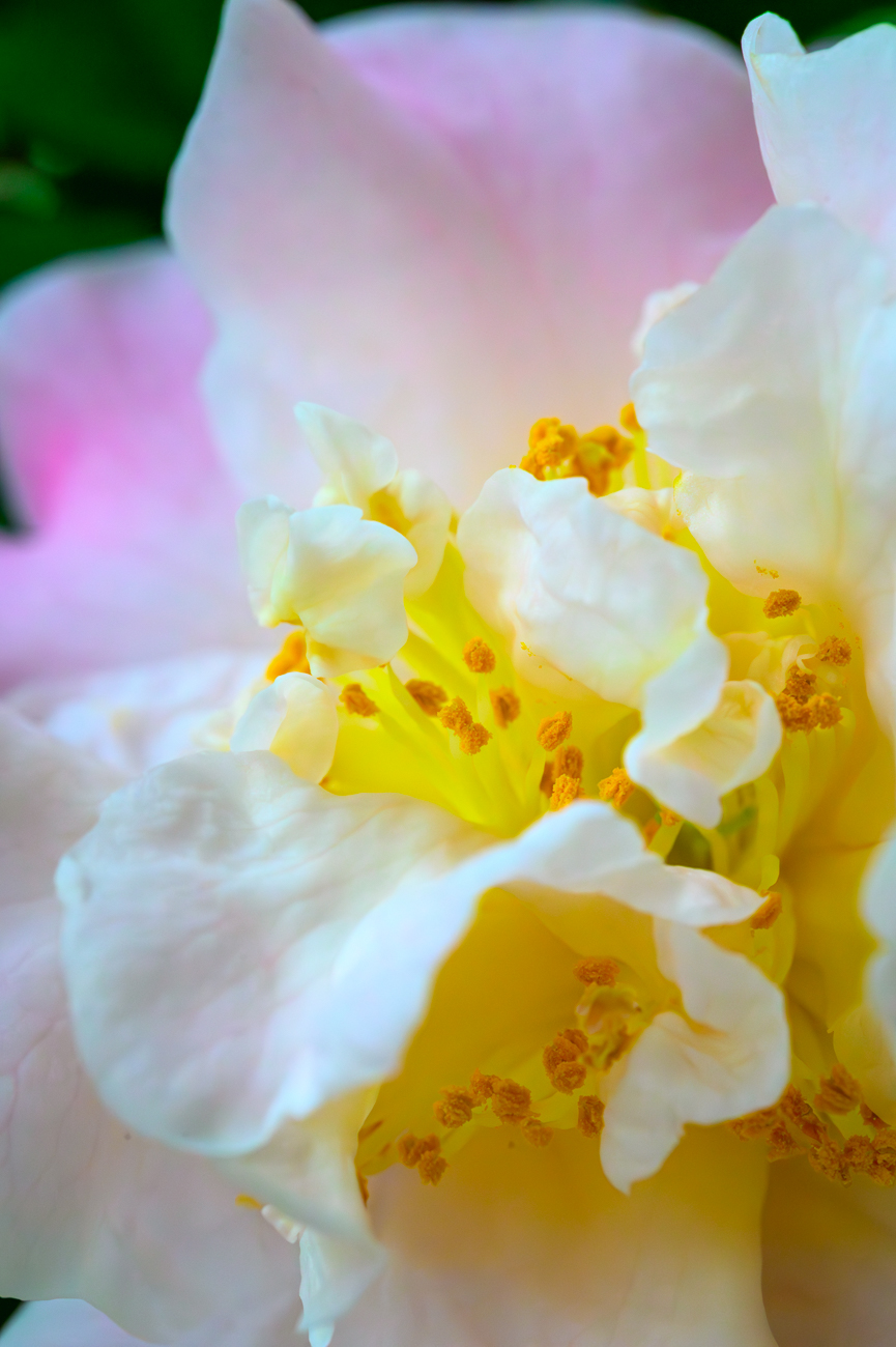 _DSC4889-����ǿ-����.jpg
