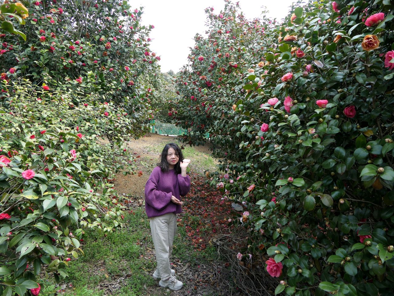 20240323184955front2_0_86206_FkpPo65Kev_C13MBUe2e-qEQEspK.jpg