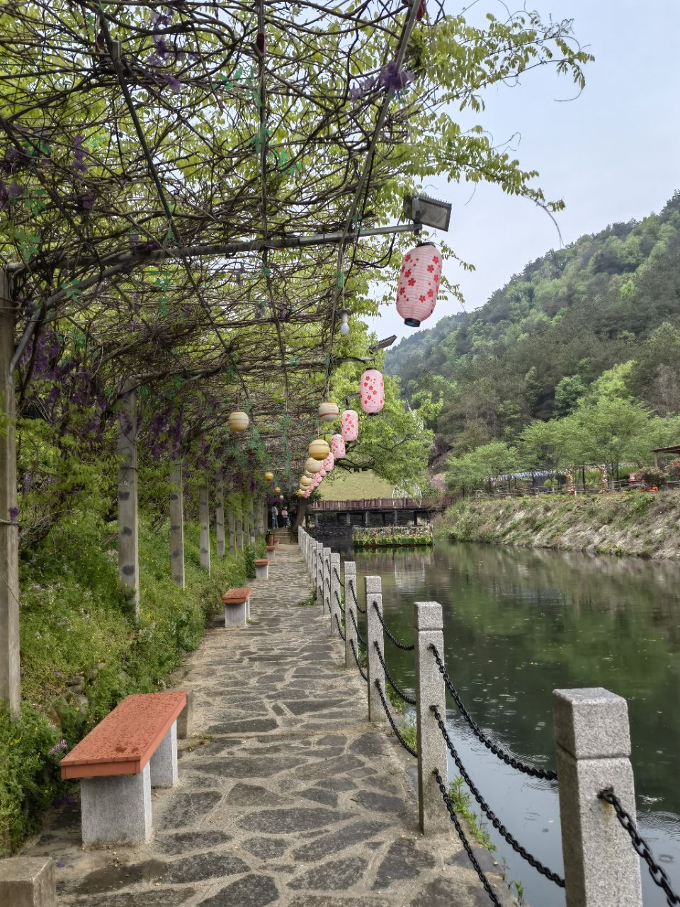 20240405175717front2_0_115823_FqdcJro6yilUD3QjEy9Zz-Pb7lFH.jpg