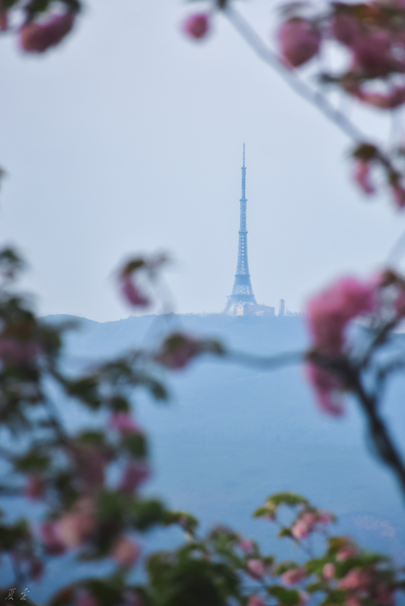 DSC_9286.jpg
