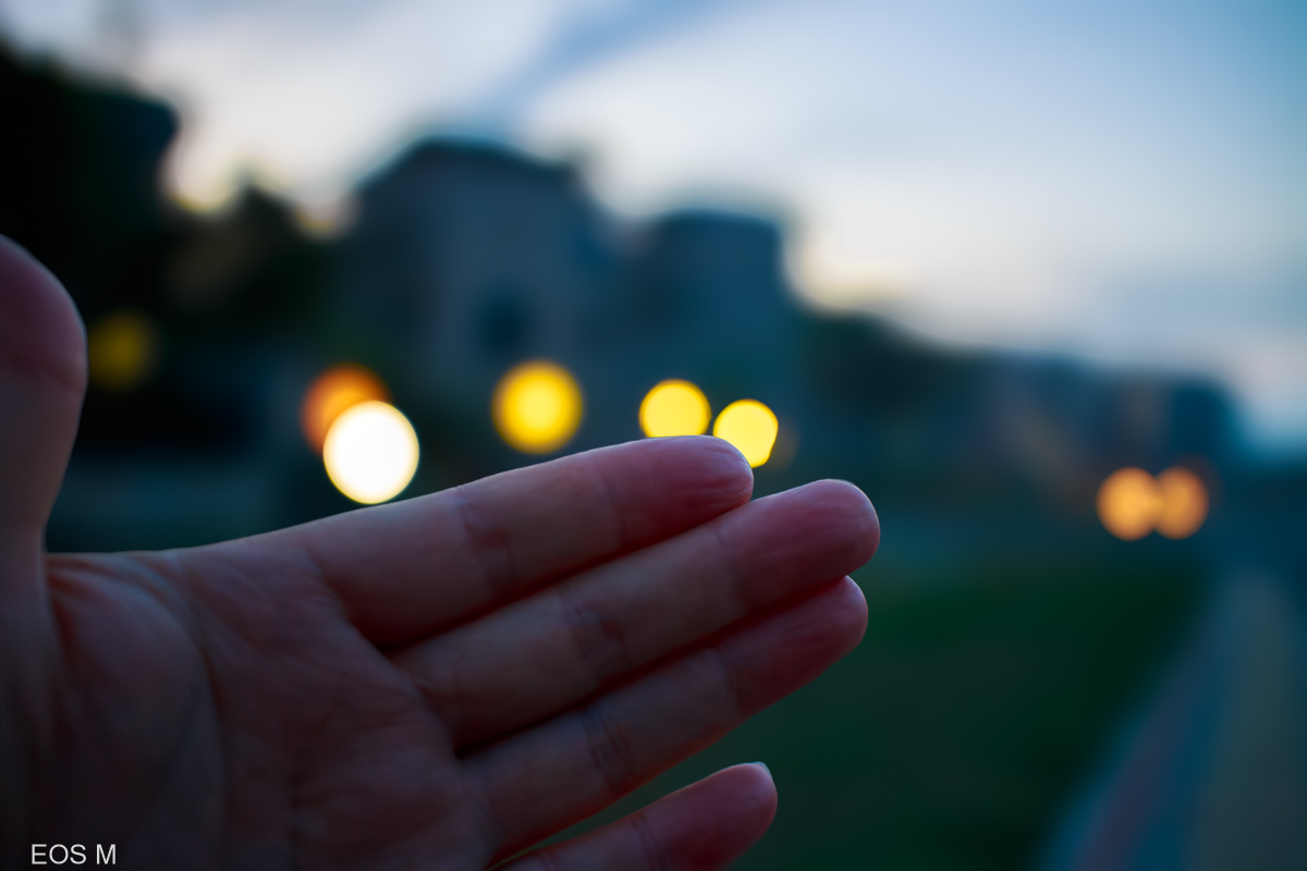 img--12.jpg