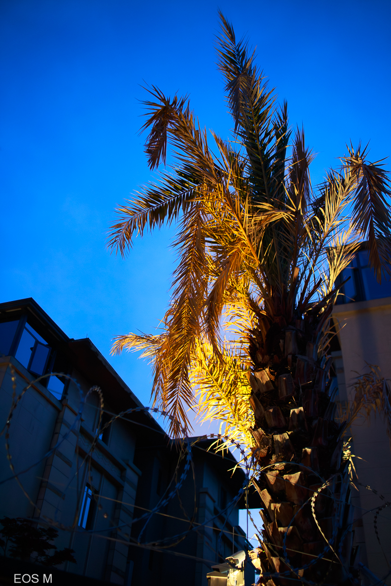 img--14.jpg