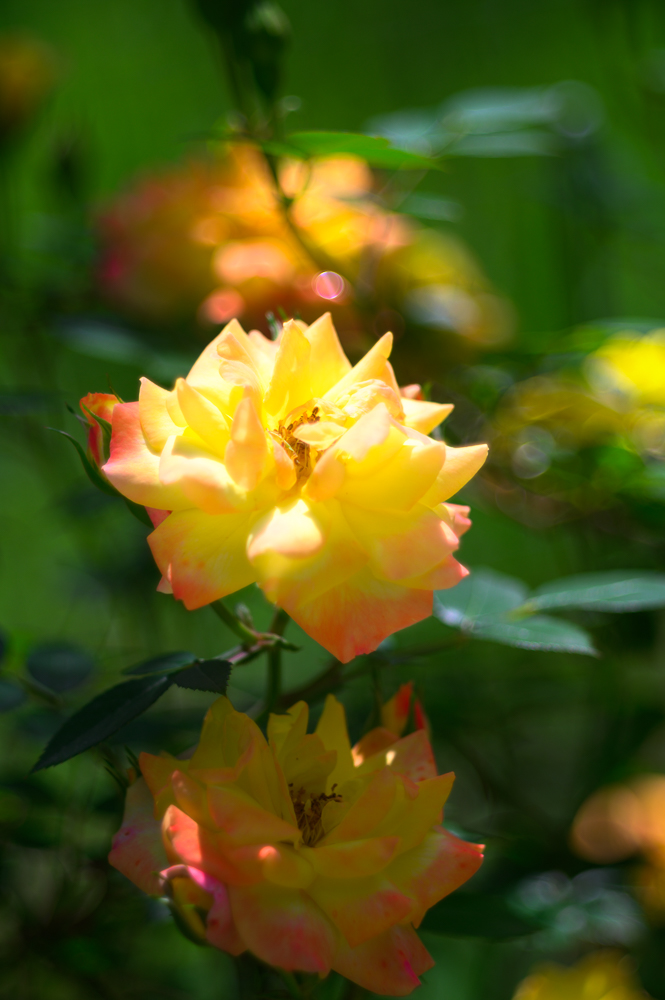 img-5031.jpg